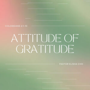 Attitude of Gratitude