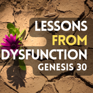 Lessons From Dysfunction