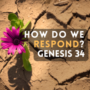 How Do We Respond?